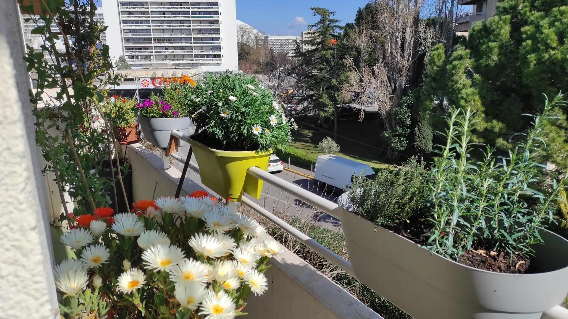 T3 Prado St-Giniez Apartment Marseille France